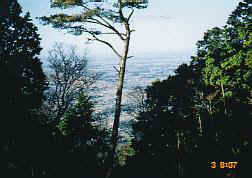 kb0103.jpg (13048 oCg)