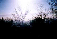 kb0105.jpg (7629 oCg)